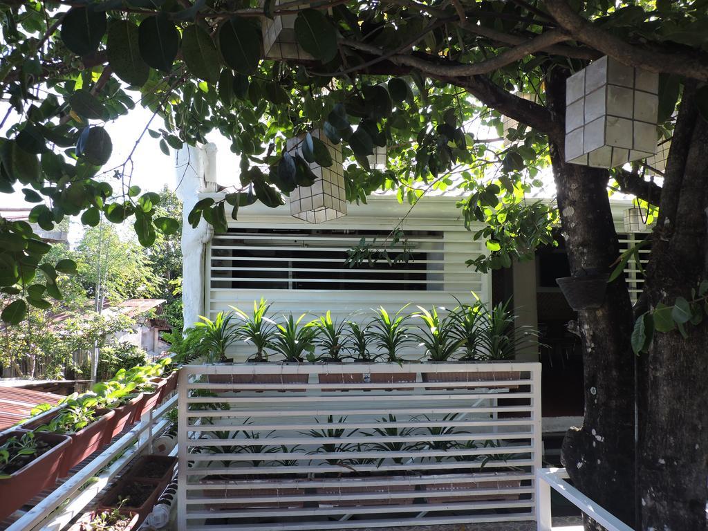 Orange Mangrove Pension House By Sms Hospitality Puerto Princesa Ngoại thất bức ảnh